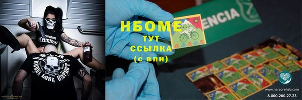 шишки Новозыбков