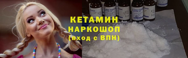 шишки Новозыбков