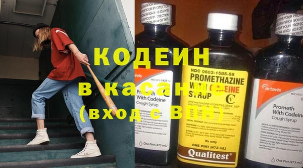 шишки Новозыбков