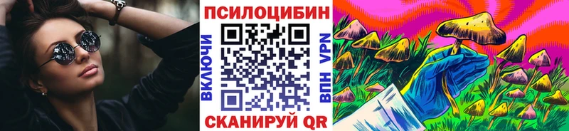 как найти закладки Новоалександровск Галлюциногенные грибы прущие грибы