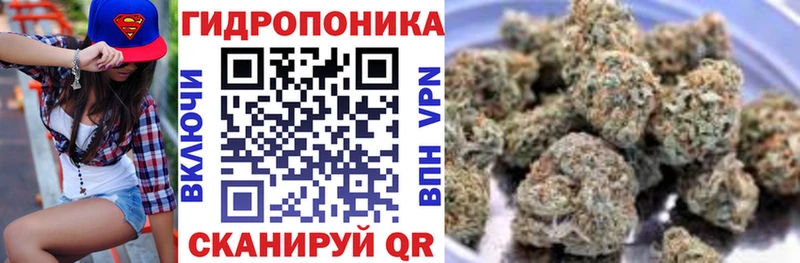 мега ССЫЛКА  Новоалександровск  Шишки марихуана семена 
